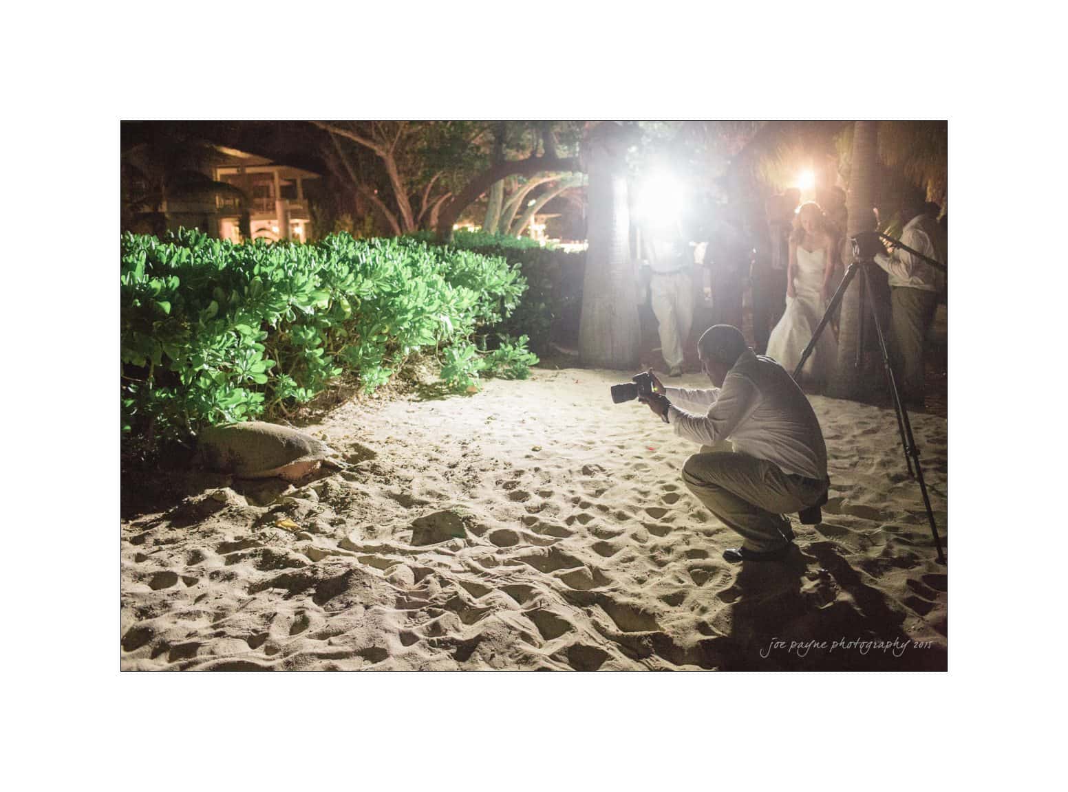 half moon montego bay wedding photography - leah & evan A photographer crouches on a sandy beach at night, capturing a sea turtle. The turtle is near a patch of greenery, with lights and onlookers in the background.