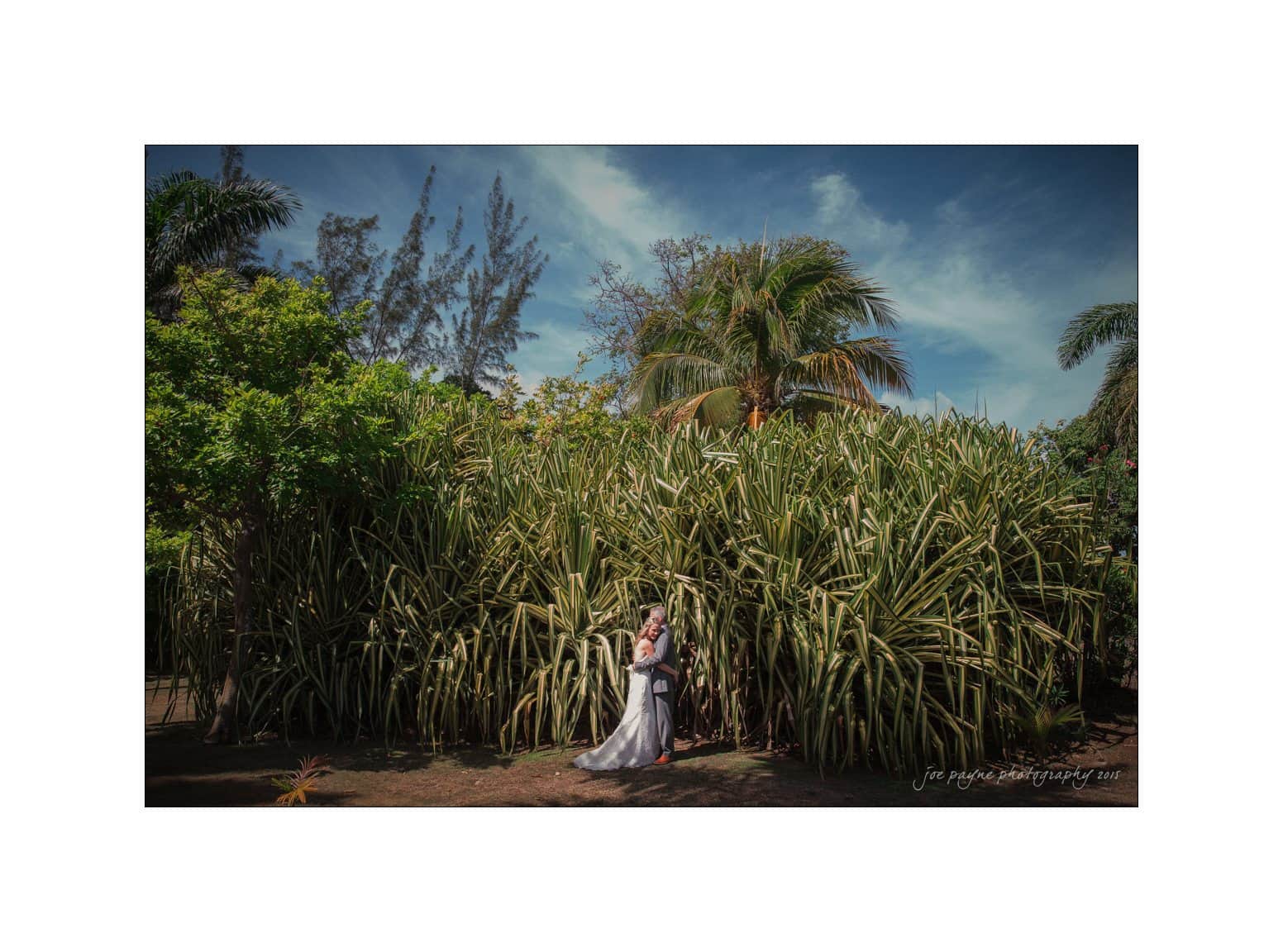 A bride and groom stand in front of tall, lush greenery with palm trees under a clear blue sky. The bride holds a bouquet, and the couple shares an intimate moment in the vibrant garden setting.