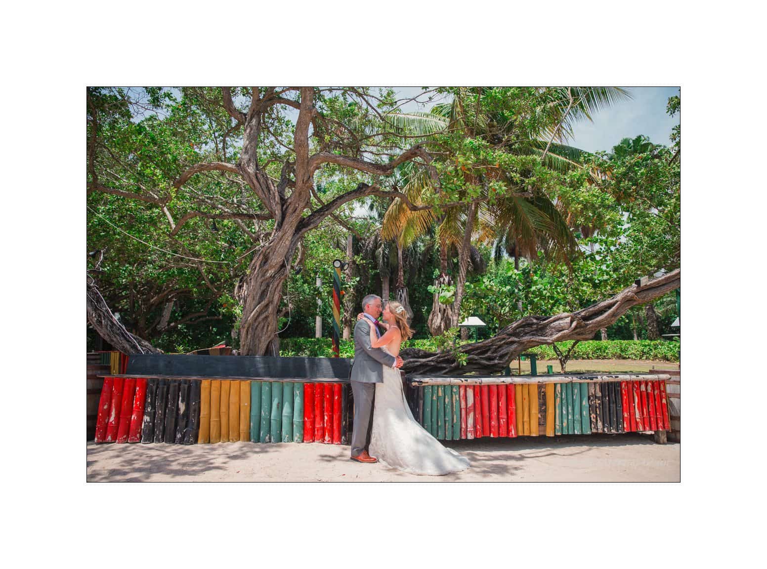 half moon montego bay wedding photography - leah & evan A bride and groom embrace in front of a colorful wooden fence, surrounded by lush green trees and palm fronds. The setting is tropical and sunny, suggesting a beach location.