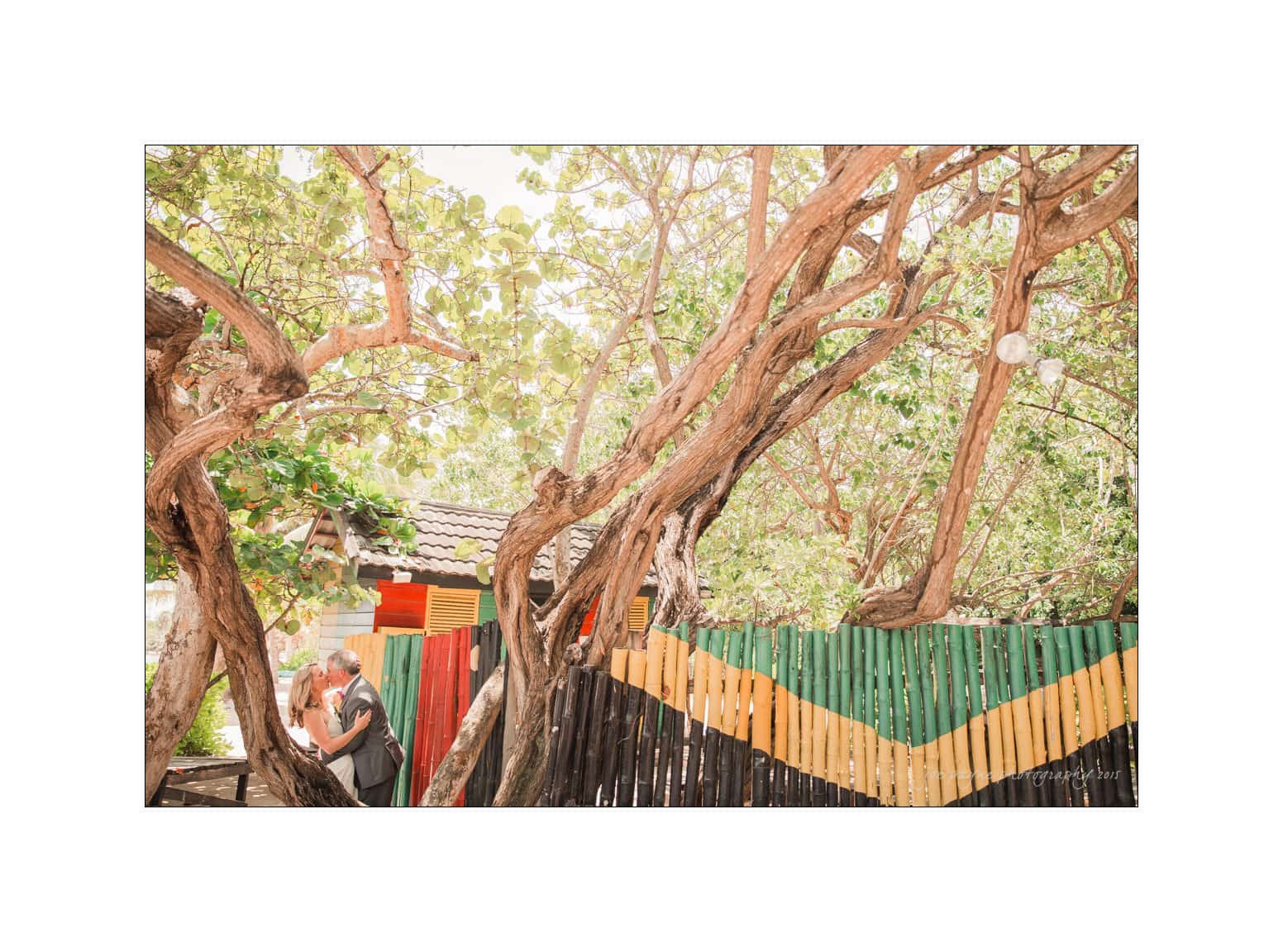 half moon montego bay wedding photography - leah & evan A couple stands close together under a canopy of twisted tree branches. In the background, a colorful wooden fence with red, green, yellow, and black stripes adds vibrancy to the sunlit scene.