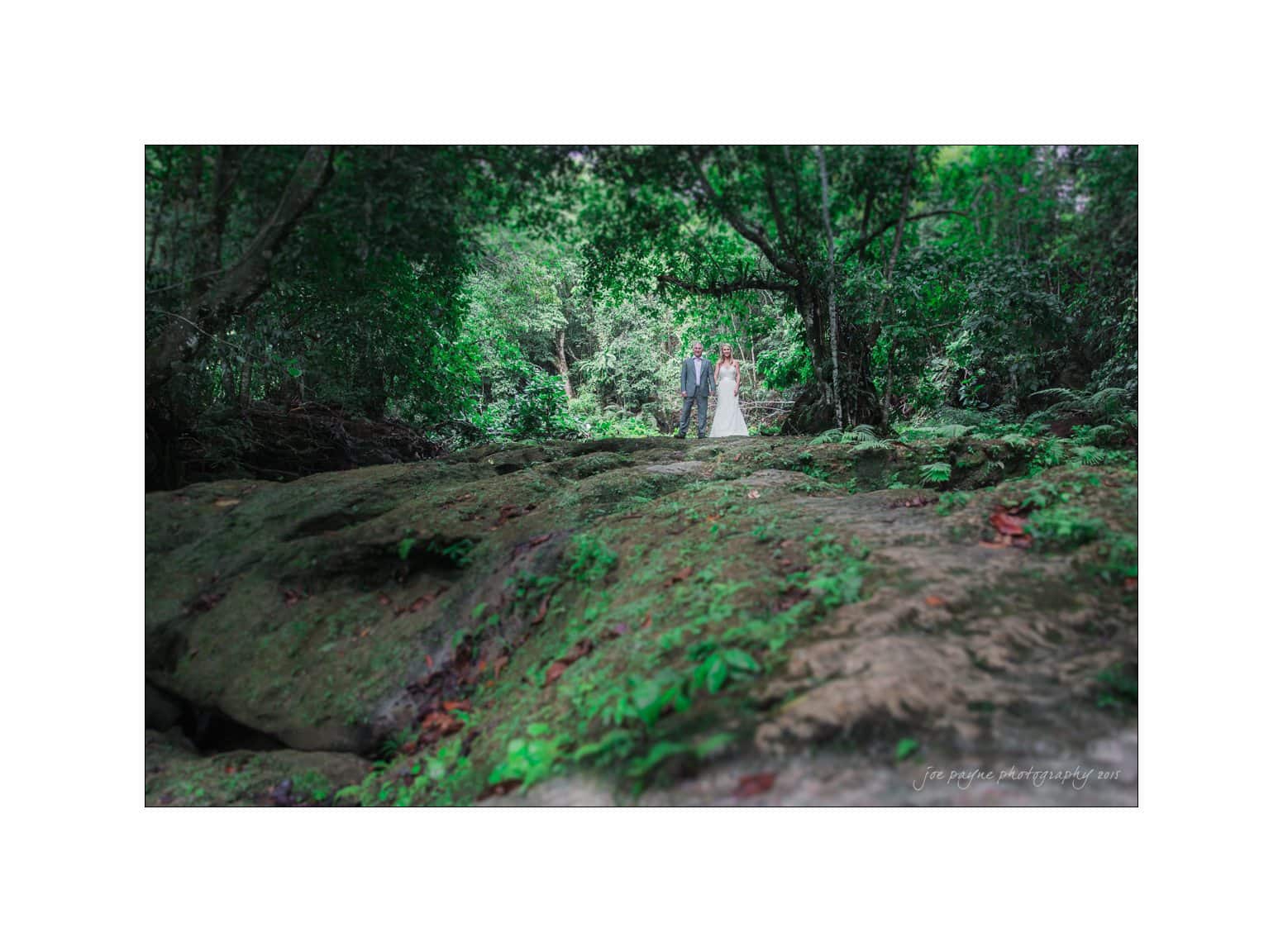 A couple stands on a lush forest path, surrounded by dense green foliage and tall trees. The scene is serene, with a natural rock formation in the foreground. The lighting is soft, creating a peaceful and romantic atmosphere.