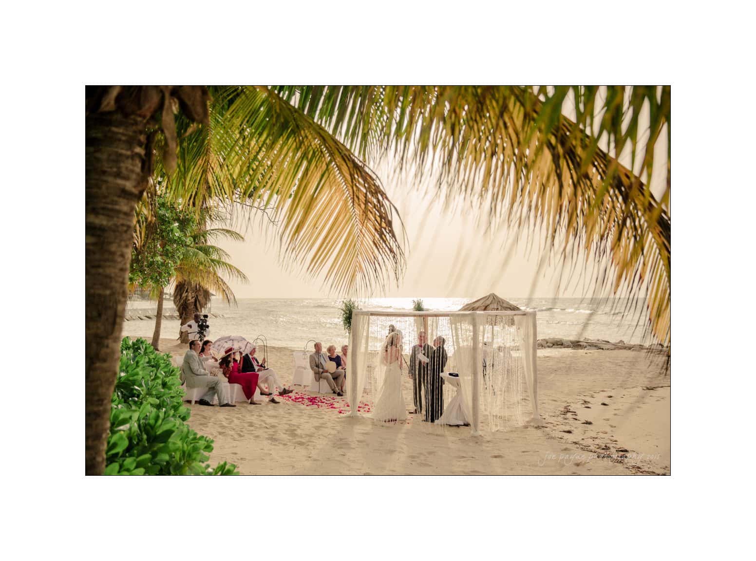 half moon montego bay wedding photography - leah & evan A beach wedding scene with a couple exchanging vows under a draped canopy. Guests are seated on the sand, surrounded by palm trees and facing the ocean, with a warm sunlight glow in the background.