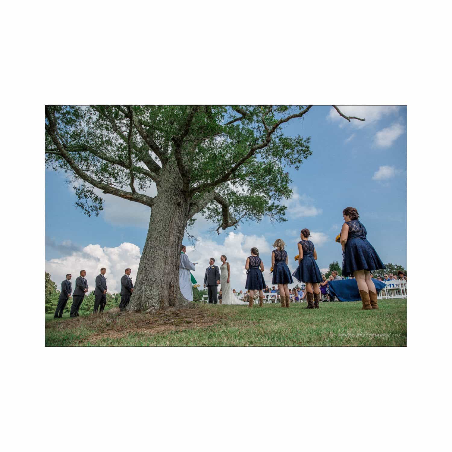 chapel hill wedding photography - nicole & wayne A wedding ceremony is taking place outdoors beneath a large tree. Bridesmaids in blue dresses and groomsmen in suits stand in line, facing the couple at the altar. Guests are seated on white chairs under a partly cloudy sky.