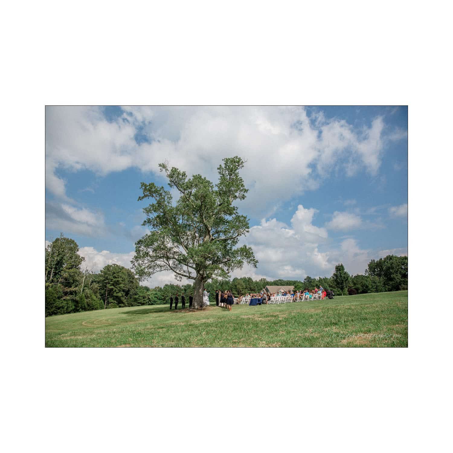 chapel hill wedding photography - nicole & wayne A large tree stands in a green field under a partly cloudy sky. A group of people is gathered on the right side, seated on white chairs, presumably for an outdoor event or ceremony.