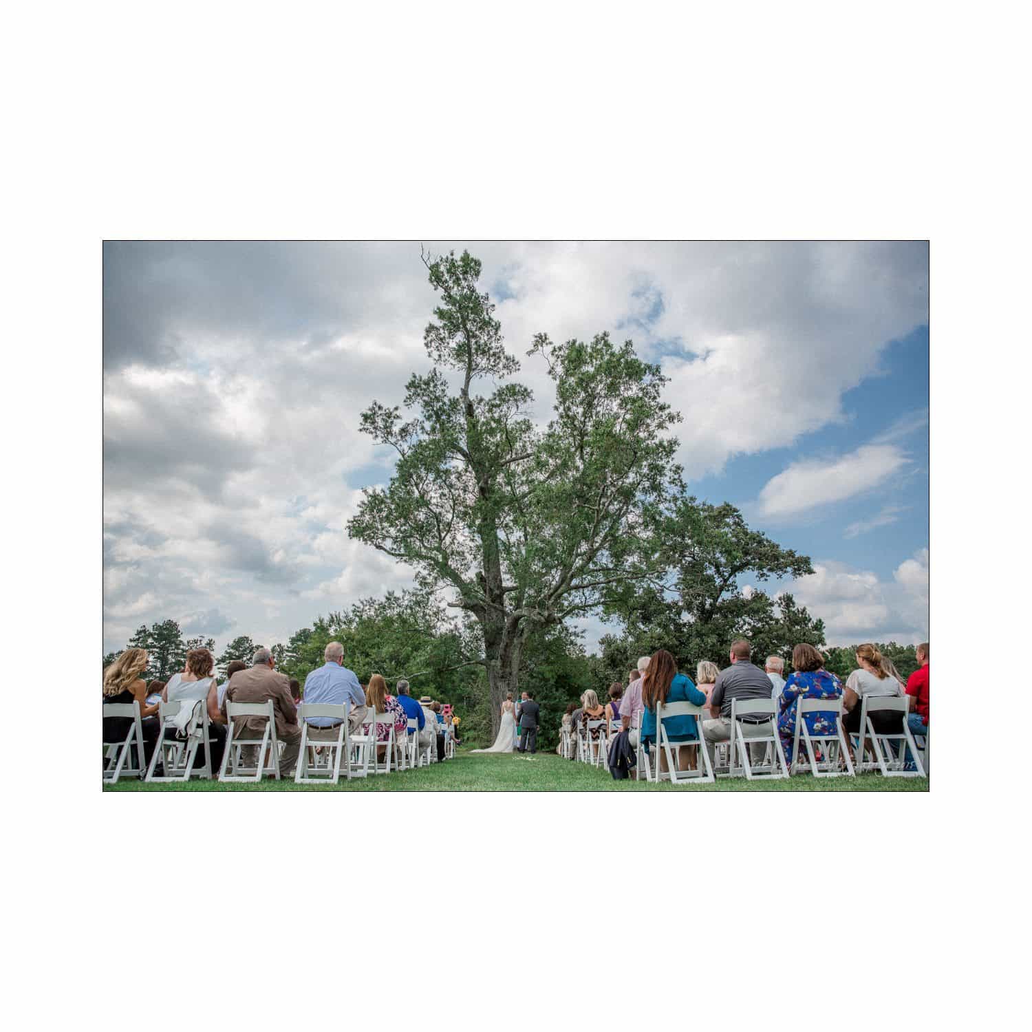 chapel hill wedding photography - nicole & wayne A couple stands at an outdoor wedding ceremony underneath a large tree. Guests are seated on either side in rows of white chairs. The sky is partly cloudy, creating a serene and picturesque setting.