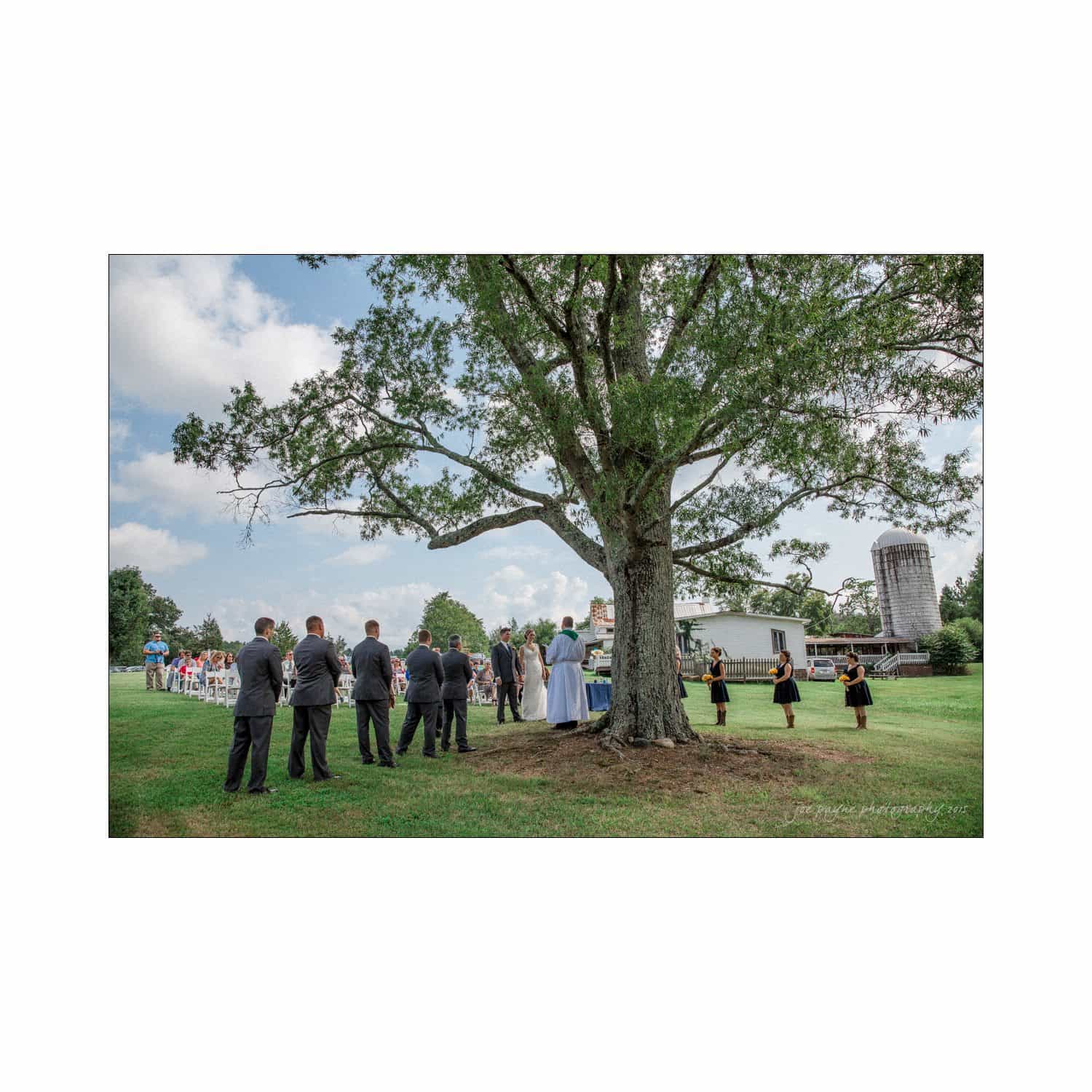 chapel hill wedding photography - nicole & wayne A wedding ceremony is taking place outdoors under a large tree on a farm. The bride and groom, along with attendees, are standing in the shade. A barn and silo are visible in the background. The sky is partly cloudy.