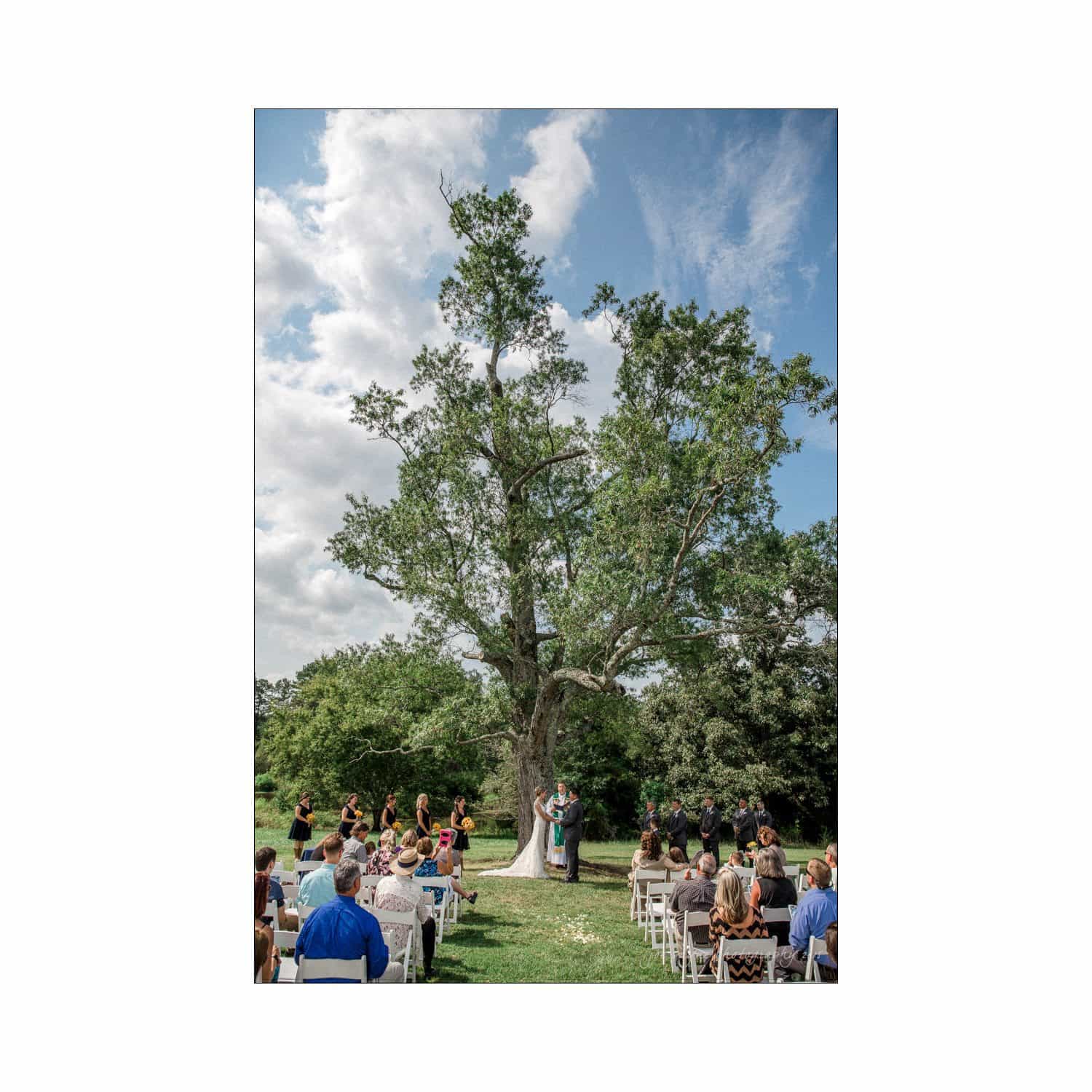 chapel hill wedding photography - nicole & wayne A couple stands under a large tree during an outdoor wedding ceremony. Guests are seated on either side, and a blue sky with scattered clouds forms the background.
