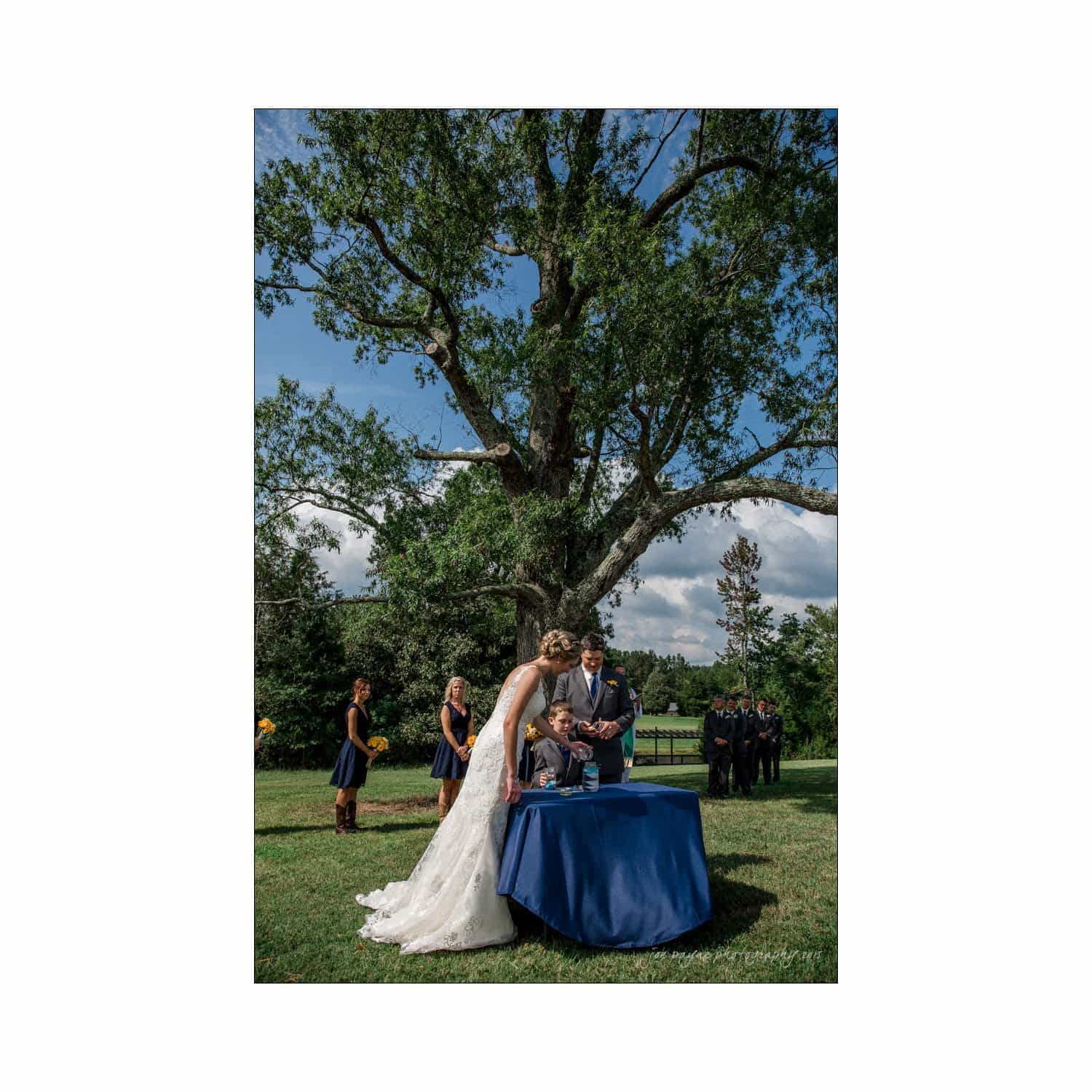 chapel hill wedding photography - nicole & wayne A bride and groom, in wedding attire, stand at a table under a large tree during an outdoor ceremony. Bridesmaids in dark dresses are to the side, while guests watch from the background. The sky is partly cloudy.