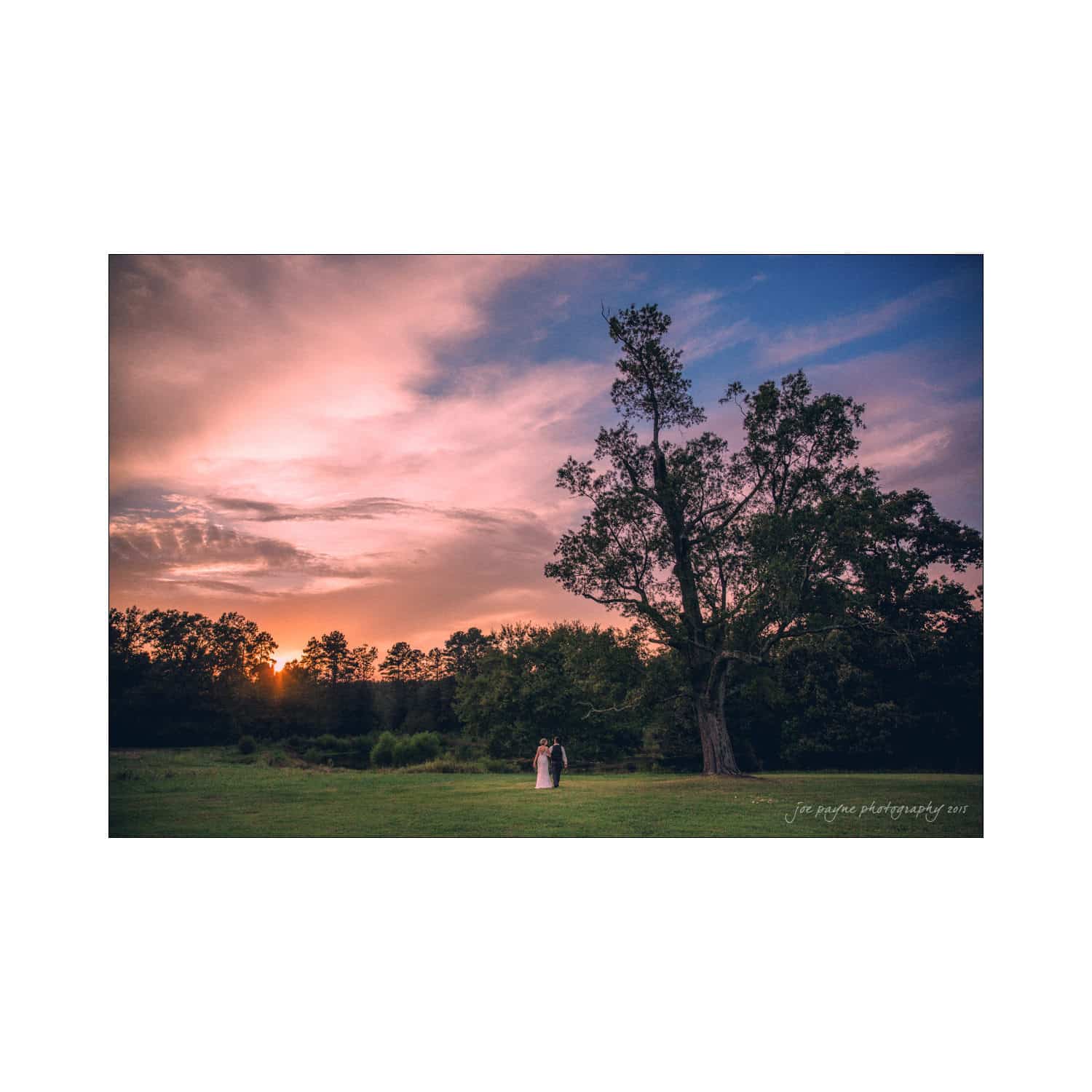 A couple stands in a grassy field at sunset, with a large tree nearby. The sky is painted with pink and purple hues, casting a warm glow over the scene.