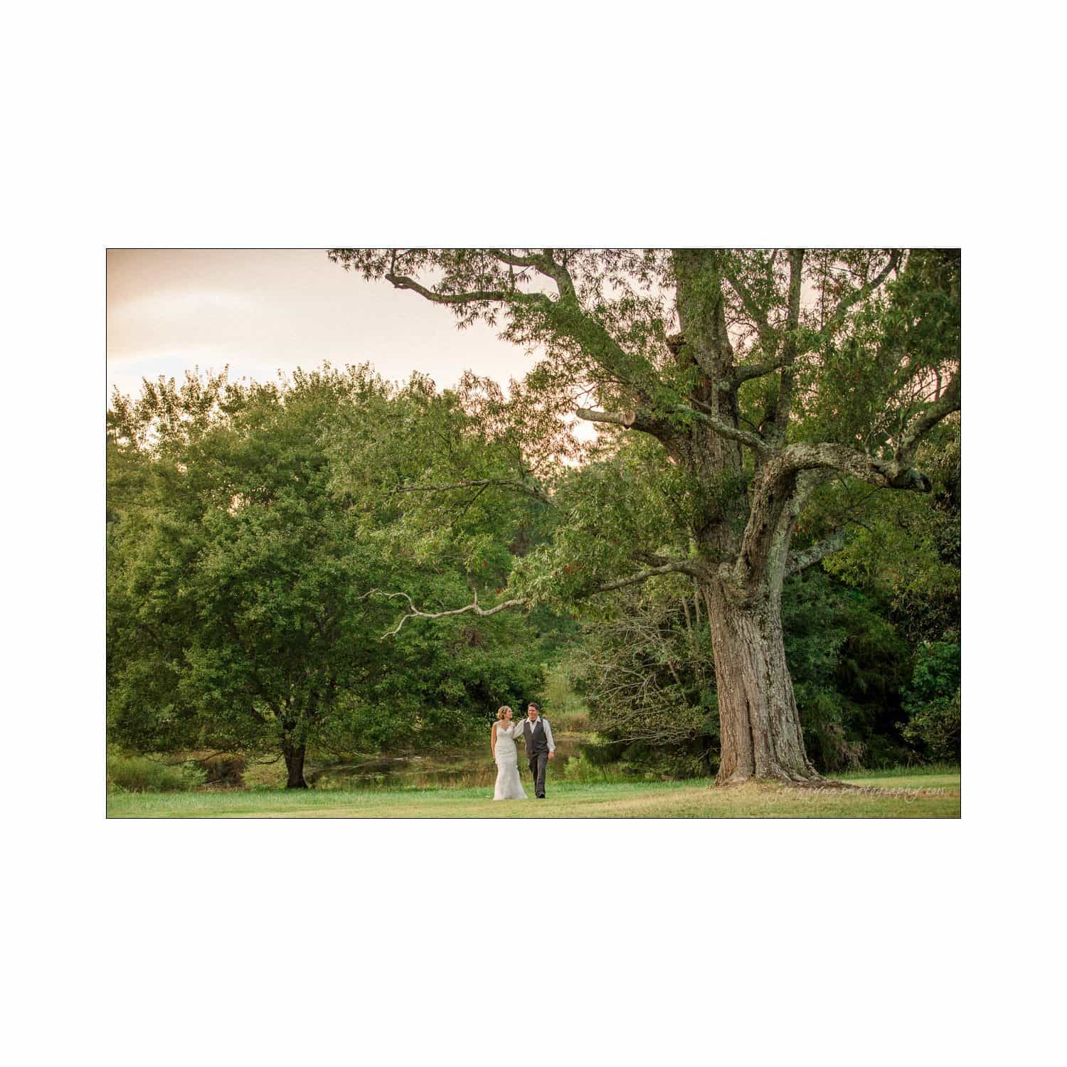 chapel hill wedding photography - nicole & wayne A couple in wedding attire walks hand in hand under a large tree in a serene, green landscape. The sky is softly lit, suggesting early evening. The surroundings include lush foliage and an expansive field.