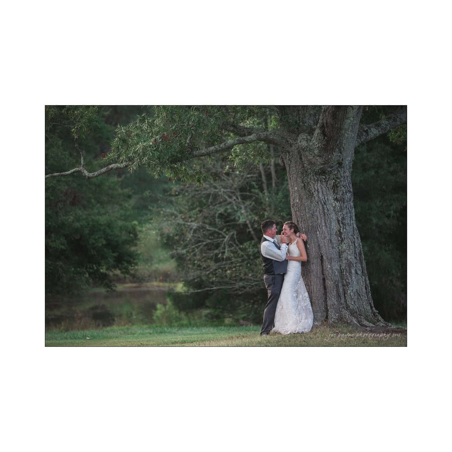 chapel hill wedding photography - nicole & wayne A bride and groom embrace under a large, lush tree in a serene, grassy landscape. The bride is in a white dress and the groom is in a vest and tie. The background features greenery and a calm pond or stream.