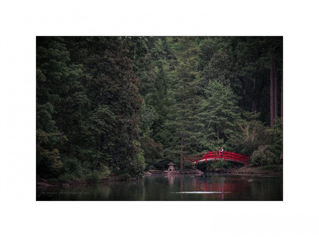 A serene landscape with a small red bridge over a calm pond, surrounded by lush green trees. The bridges reflection is visible in the water, creating a peaceful and harmonious scene.