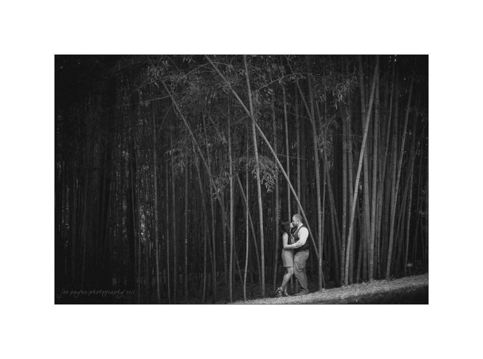 A couple embraces in a black and white photo amidst a forest of tall, slender trees. The dense foliage surrounds them, creating a serene and intimate atmosphere. The ground is lightly covered with scattered leaves.