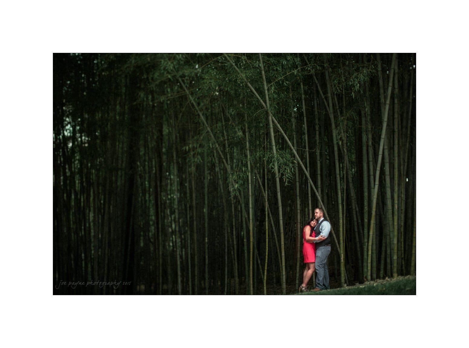 A couple stands close together in a lush bamboo forest. The woman in a red dress smiles, and the man wearing a vest smiles with his arm around her. The tall bamboo trees create a serene and romantic atmosphere.