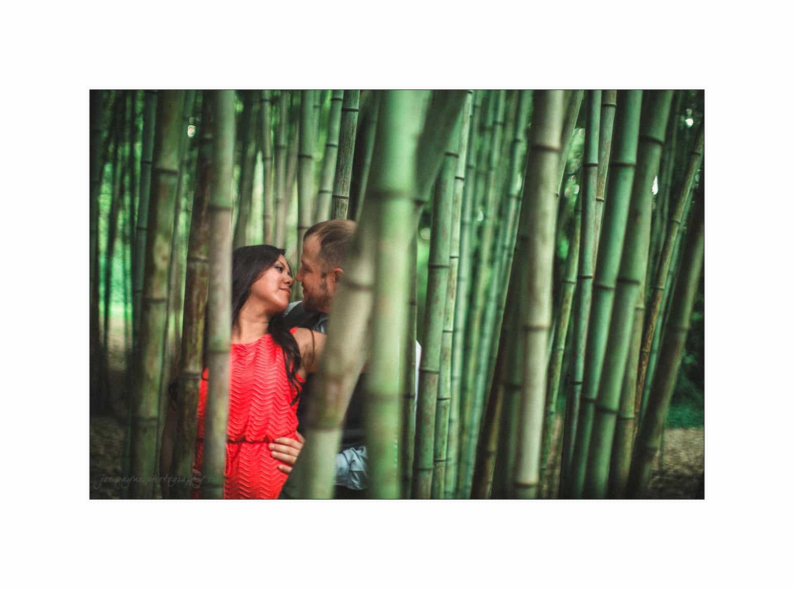 A couple stands closely together in a lush bamboo forest. The woman is wearing a red dress, and they are smiling at each other through the tall, green bamboo stalks. The setting creates an intimate and serene atmosphere.