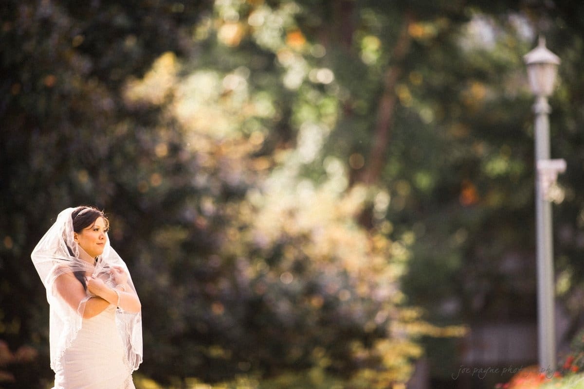 A bride stands outdoors, wrapped in a sheer veil and a white wedding dress. She is gazing to the side with a thoughtful expression. The background is a lush, sunlit garden with greenery and a tall lamp post.