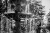 A black and white photo of a couple embracing and kissing near a flowing fountain. Water droplets are captured in mid-air, creating a sparkling effect, with tall trees in the background.
