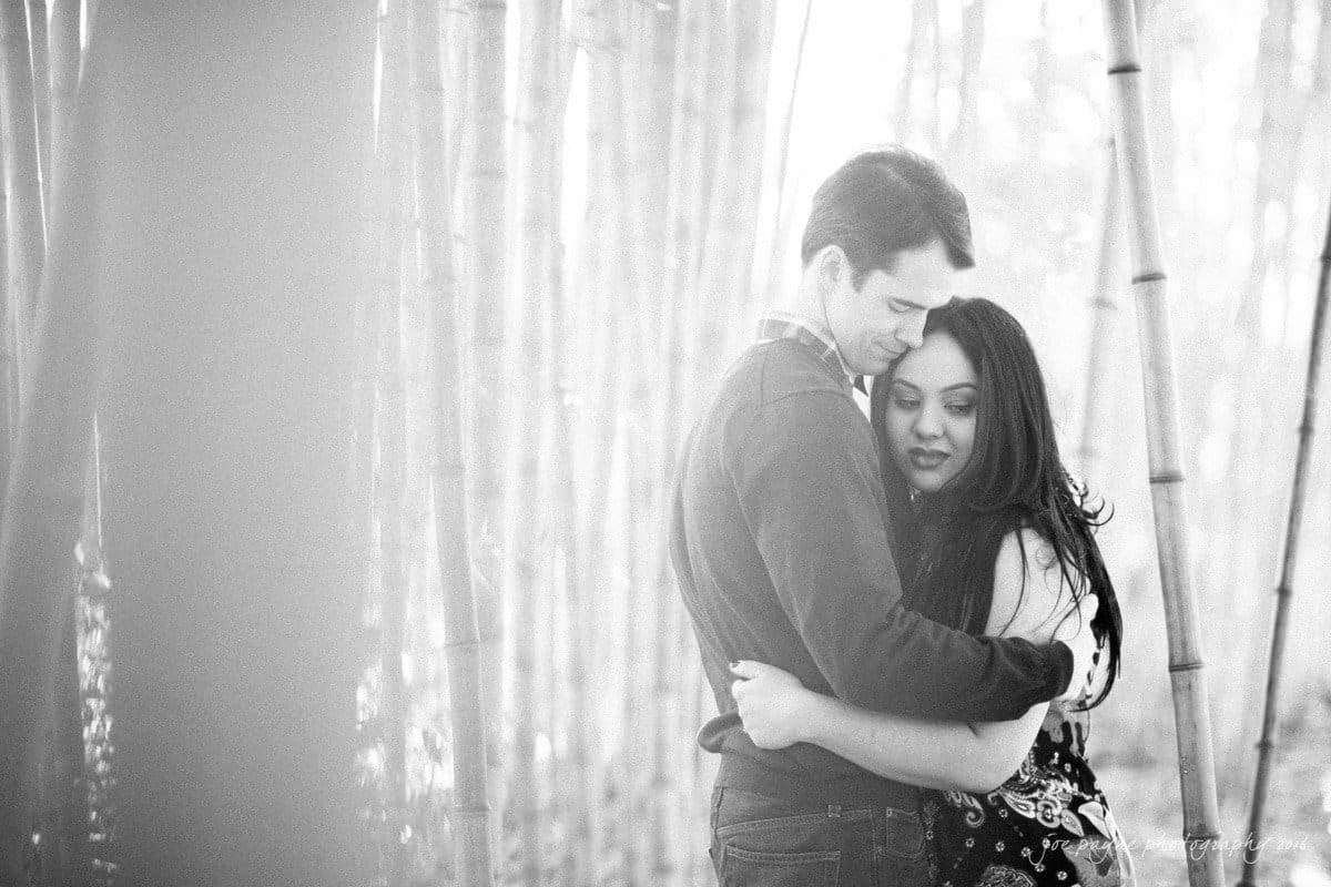 duke gardens engagement photography - yasmin & mike A black and white photo of a couple embracing in a bamboo forest. The woman has long hair and a patterned dress, while the man wears a dark sweater. Sunlight filters through the trees, creating a serene atmosphere.