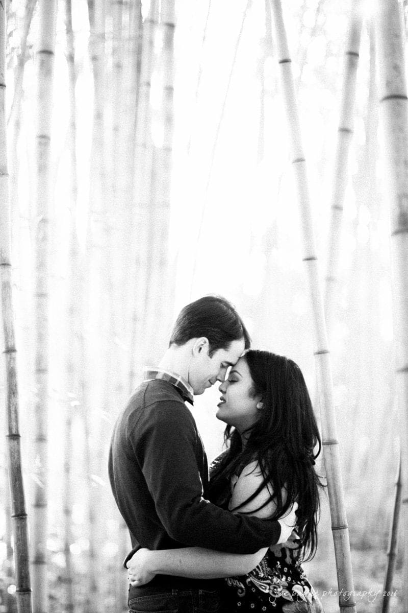 duke gardens engagement photography - yasmin & mike A couple embraces tenderly in a serene bamboo forest. The tall bamboo stalks create a tranquil backdrop, and soft sunlight filters through, casting gentle, dappled light on the pair.