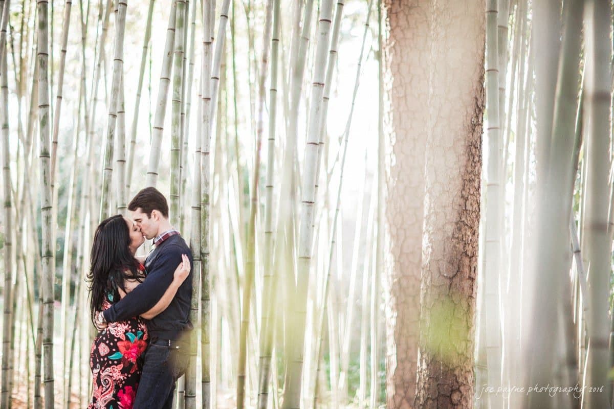 duke gardens engagement photography - yasmin & mike A couple embraces in a bamboo forest, surrounded by tall, slender bamboo stalks. The woman is wearing a floral dress, and the man is in a dark suit. They are standing close, creating a romantic atmosphere amidst the natural scenery.