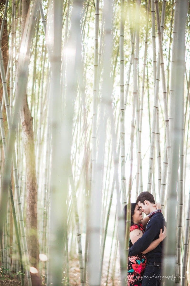 duke gardens engagement photography - yasmin & mike A couple embraces intimately among tall, slender bamboo stalks in a serene forest. Dappled sunlight filters through the greenery, creating a peaceful and romantic atmosphere.
