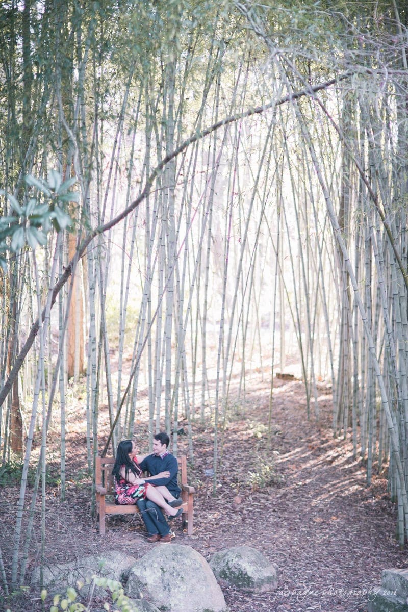duke gardens engagement photography - yasmin & mike A couple sits on a wooden bench amidst tall bamboo stalks in a serene forest setting. Sunlight filters through the trees, creating a peaceful atmosphere. The ground is covered in dry leaves and scattered with a few large rocks.