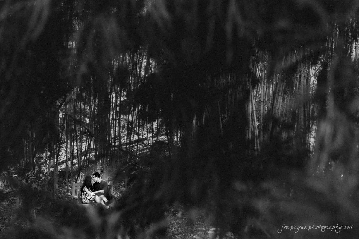 duke gardens engagement photography - yasmin & mike A couple sits closely together on a bench in the woods, surrounded by tall trees casting shadows. The scene is in black and white, conveying a serene and intimate atmosphere.
