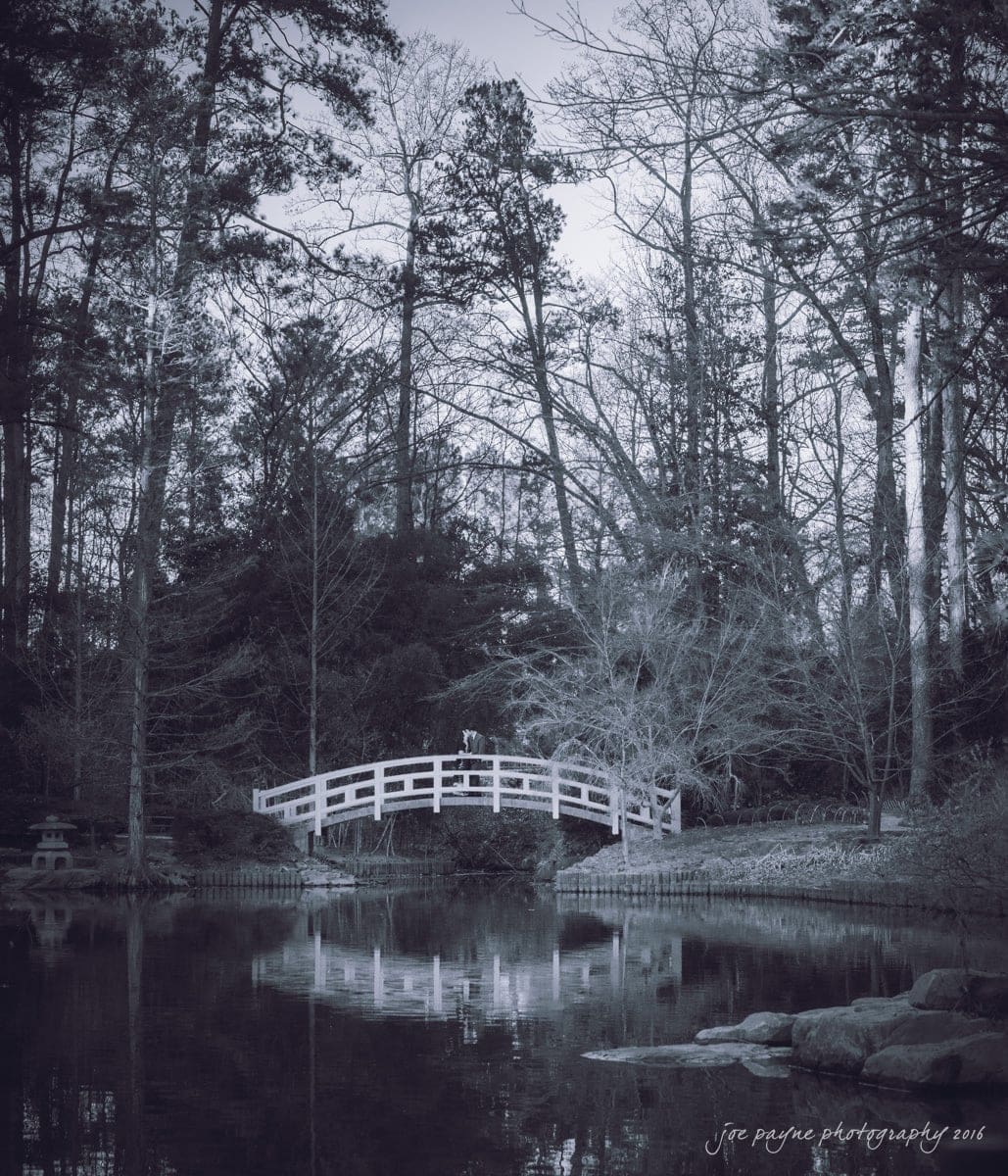 duke gardens engagement photography - yasmin & mike A serene black and white photo of a tranquil garden scene with a white arched bridge over a reflective pond, surrounded by tall trees and bare branches. A calm, peaceful atmosphere is depicted.