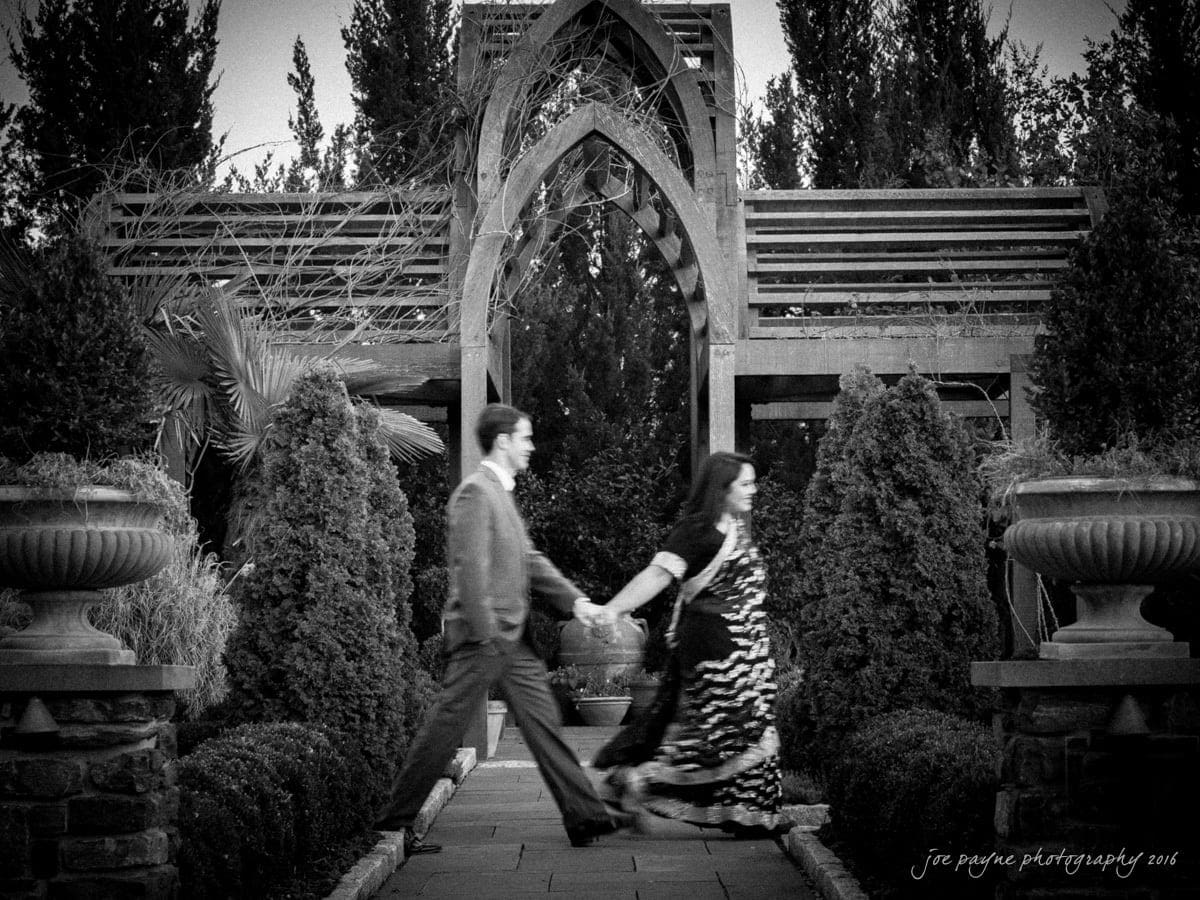 duke gardens engagement photography - yasmin & mike A black-and-white photo of a couple holding hands and walking in opposite directions. They are in a garden with a wooden arbor and tall shrubs. The woman wears a patterned dress, and the man is in a suit. The scene appears energetic and dynamic.