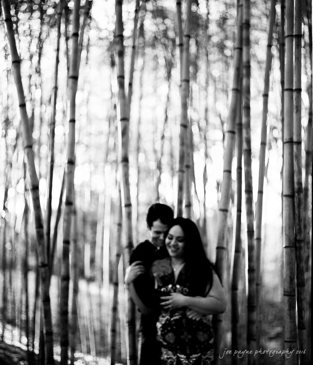 duke gardens engagement photography - yasmin & mike A couple embraces in a serene bamboo forest. The black and white image captures tall bamboo stalks surrounding them, creating a tranquil, intimate atmosphere. The photo is softly focused, enhancing its dreamlike quality.