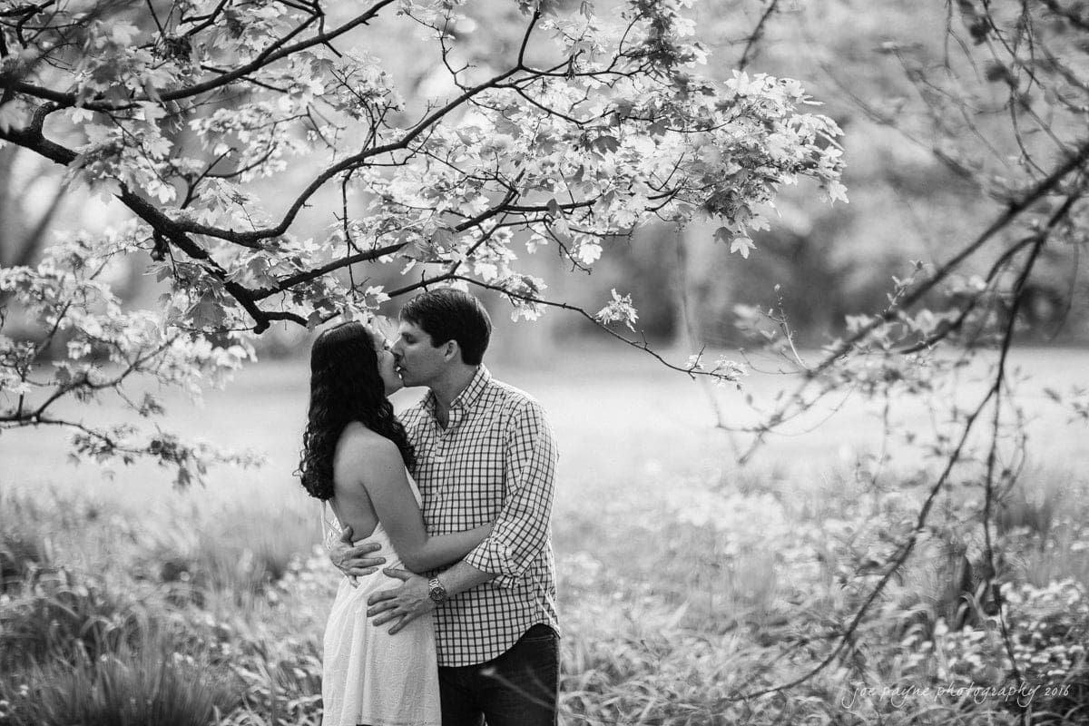 A couple kisses under a tree with lush foliage. The black and white image captures a serene, intimate moment in a natural setting, with branches framing the pair. The scene conveys a sense of romance and tranquility.
