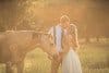 A couple embraces in a sunlit field with a light brown horse. The woman wears a white dress, and the man is in a white shirt with a tie and suspenders. Warm sunlight filters through the trees, creating a serene and romantic scene.
