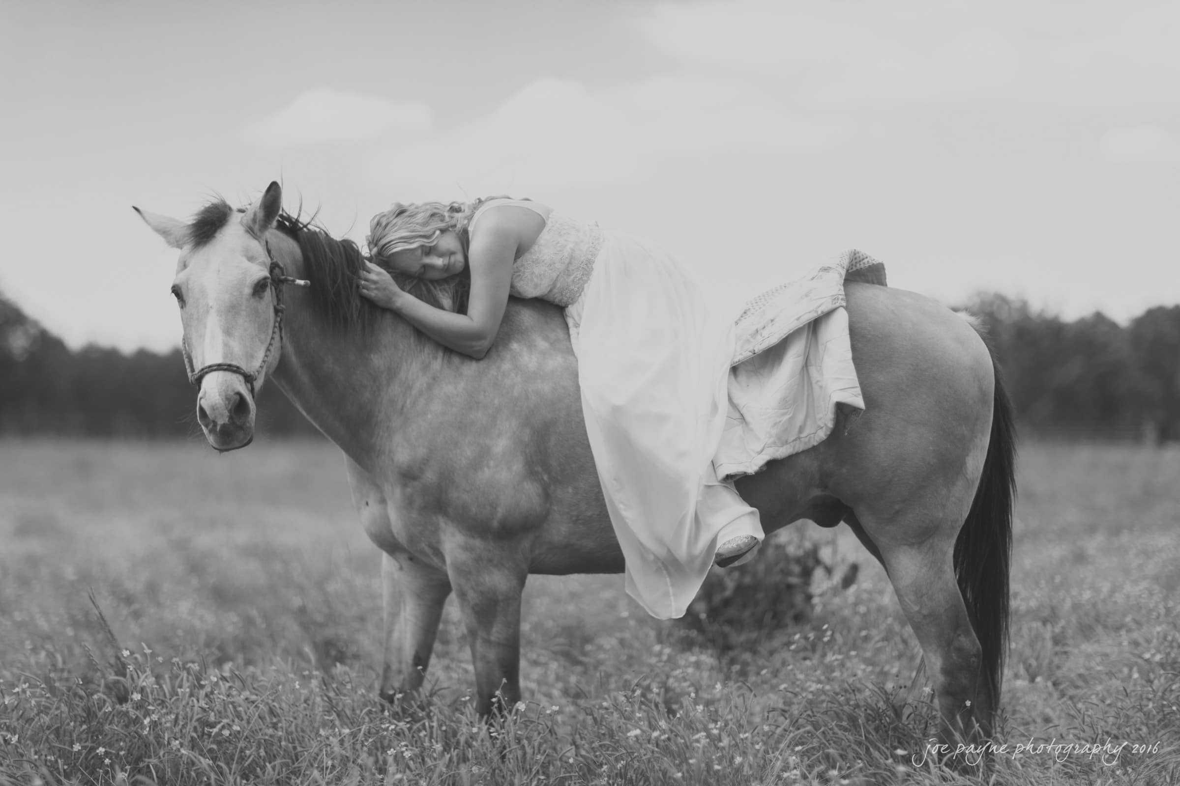 new bern wedding photographer - jessica & brinson A black and white photo of a bride in a long gown resting her head on a horses neck while sitting sidesaddle. They are in a grassy field with trees in the background.