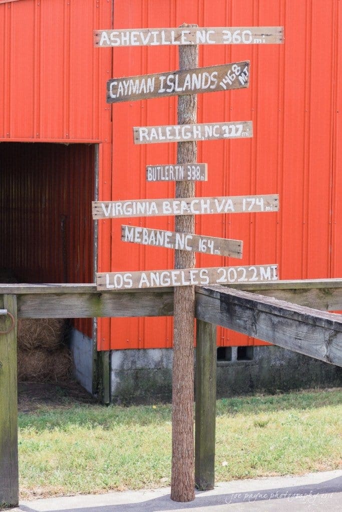new bern wedding photographer - jessica & brinson A wooden signpost with directional signs pointing to various locations, including Asheville, Cayman Islands, Raleigh, Butler, Virginia Beach, Mebane, and Los Angeles, indicating distances in miles. Its set against a red building background.