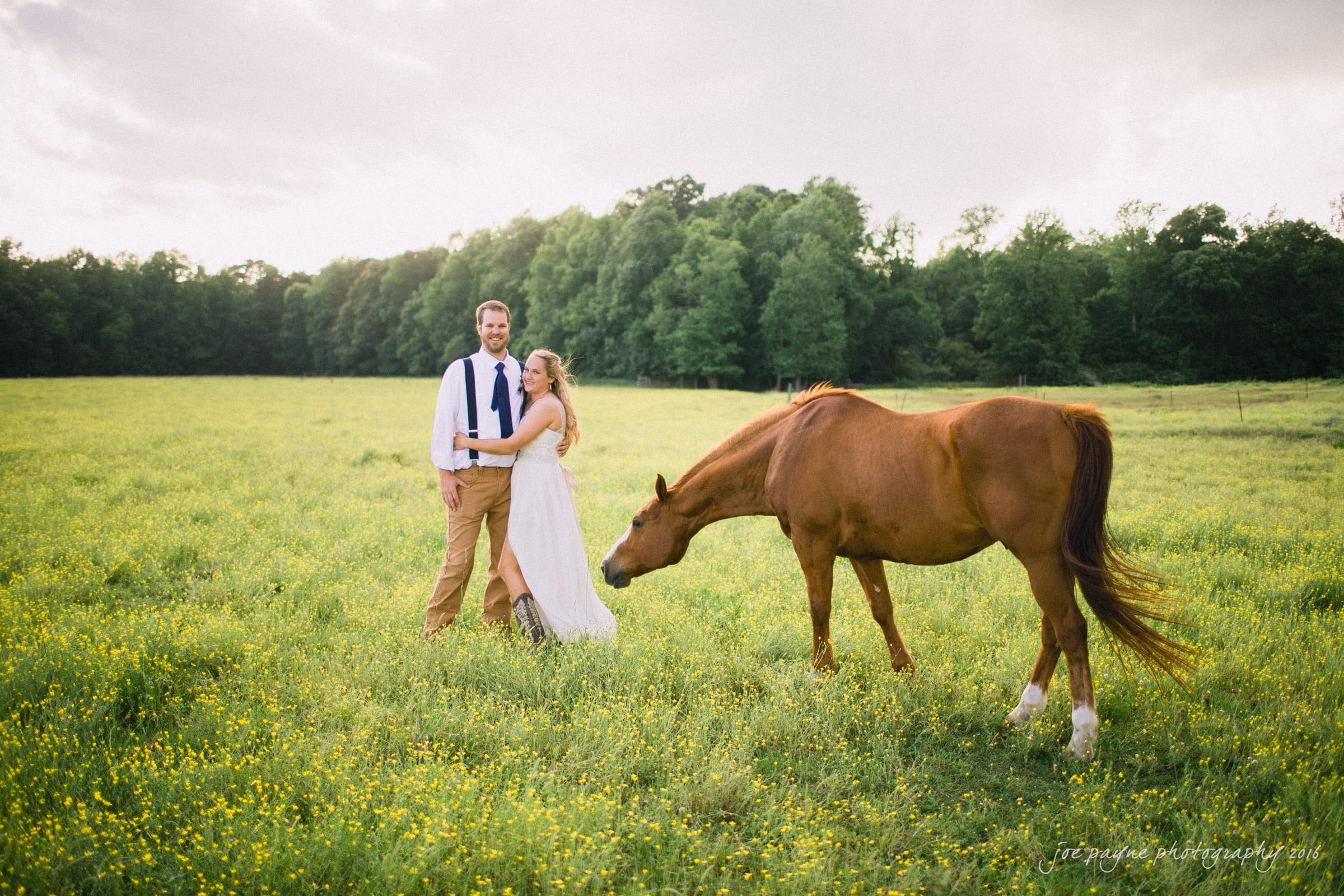 new bern wedding photographer - jessica & brinson A couple embraces in a sunny field full of yellow flowers, with a brown horse grazing nearby. Trees and a clear sky serve as the backdrop.