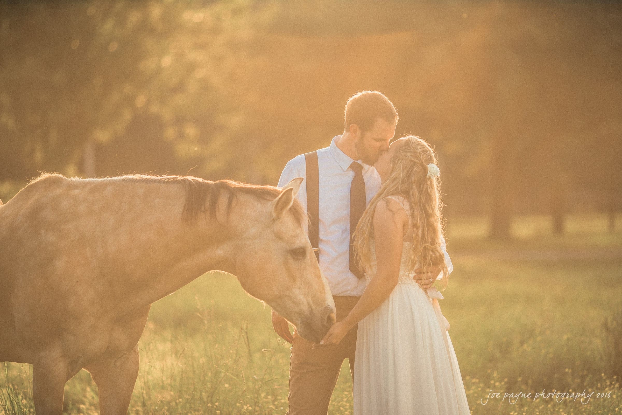 new bern wedding photographer - jessica & brinson A couple embraces in a sunlit field with a light brown horse. The woman wears a white dress, and the man is in a white shirt with a tie and suspenders. Warm sunlight filters through the trees, creating a serene and romantic scene.