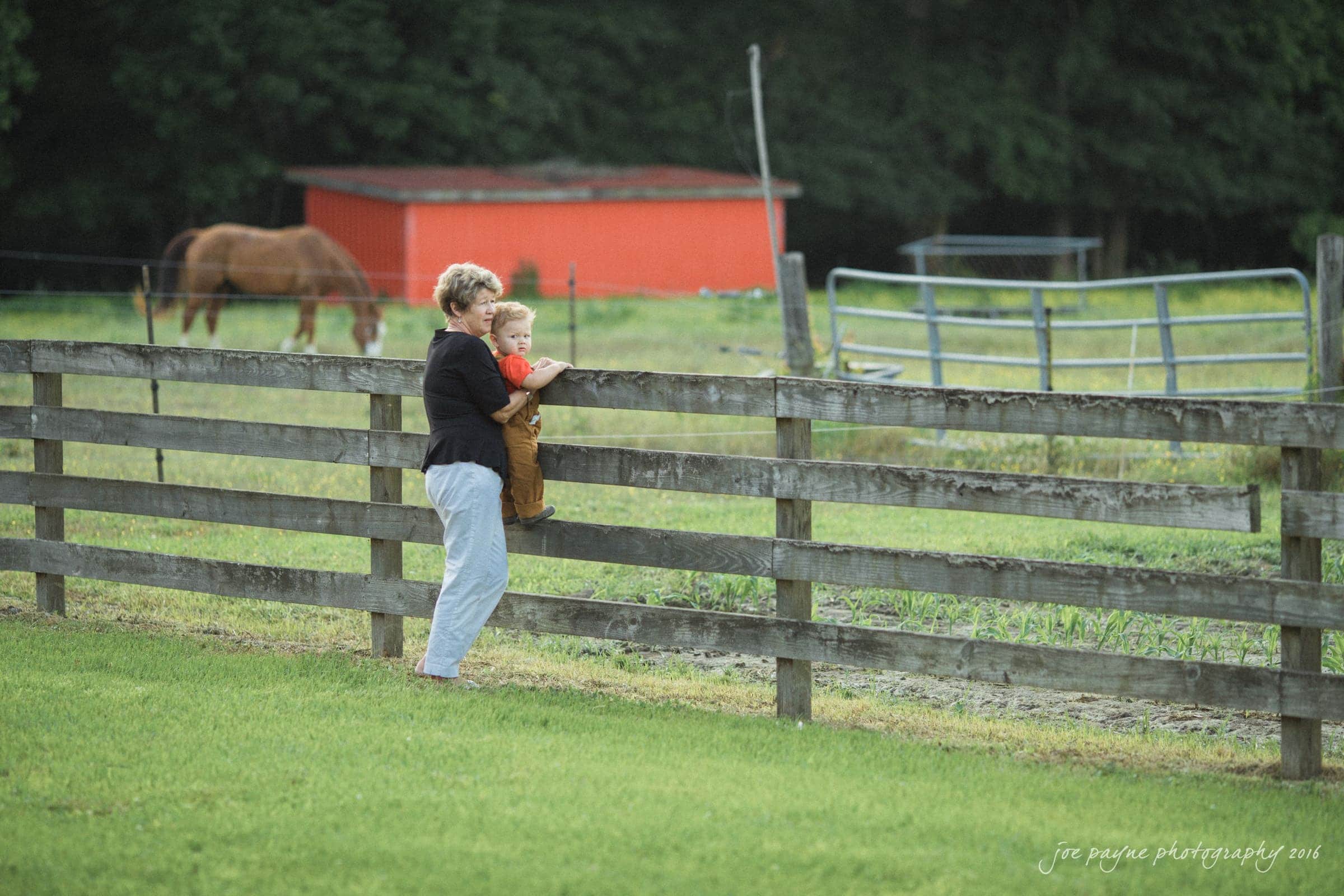 new bern wedding photographer - jessica & brinson A woman holding a young child stands by a wooden fence, both looking at horses grazing in a green paddock. A red barn is visible in the background.