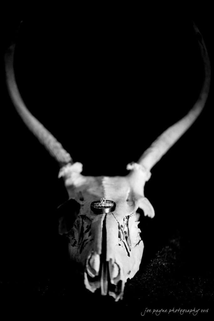new bern wedding photographer - jessica & brinson A black and white image of a deer skull with antlers, featuring a ring placed on its forehead. The background is dark, highlighting the skull and ring.