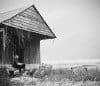 Two people sit together on the porch of a weathered wooden shack, tall grass waving around them in a rural field. The overcast sky and black-and-white tones evoke classic nc engagement photography.