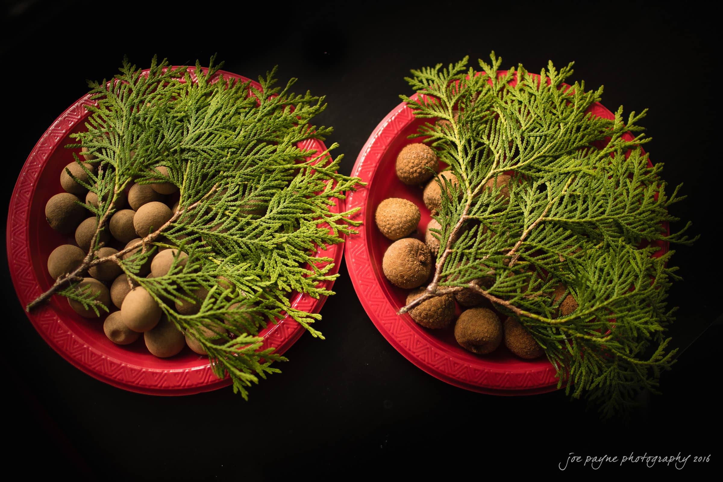 Two red plates on a dark surface hold acorns and fresh green cedar branches, creating a natural and festive display.