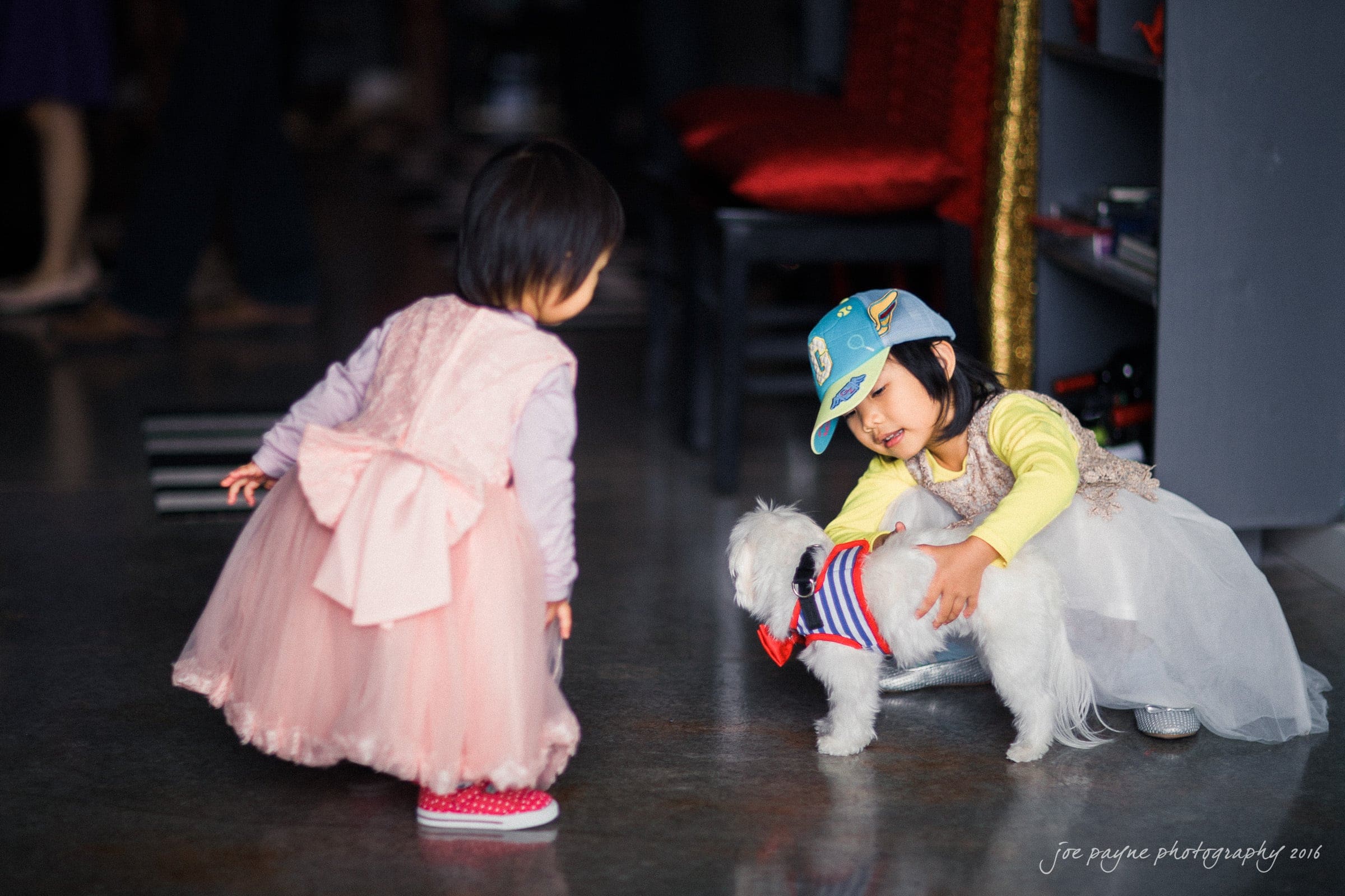 Two young children interact with a small white dog wearing a striped shirt. One child, in a pink dress, bends down to look at the dog while the other, in a cap, gently pets it. The scene is indoors with a blurred background.