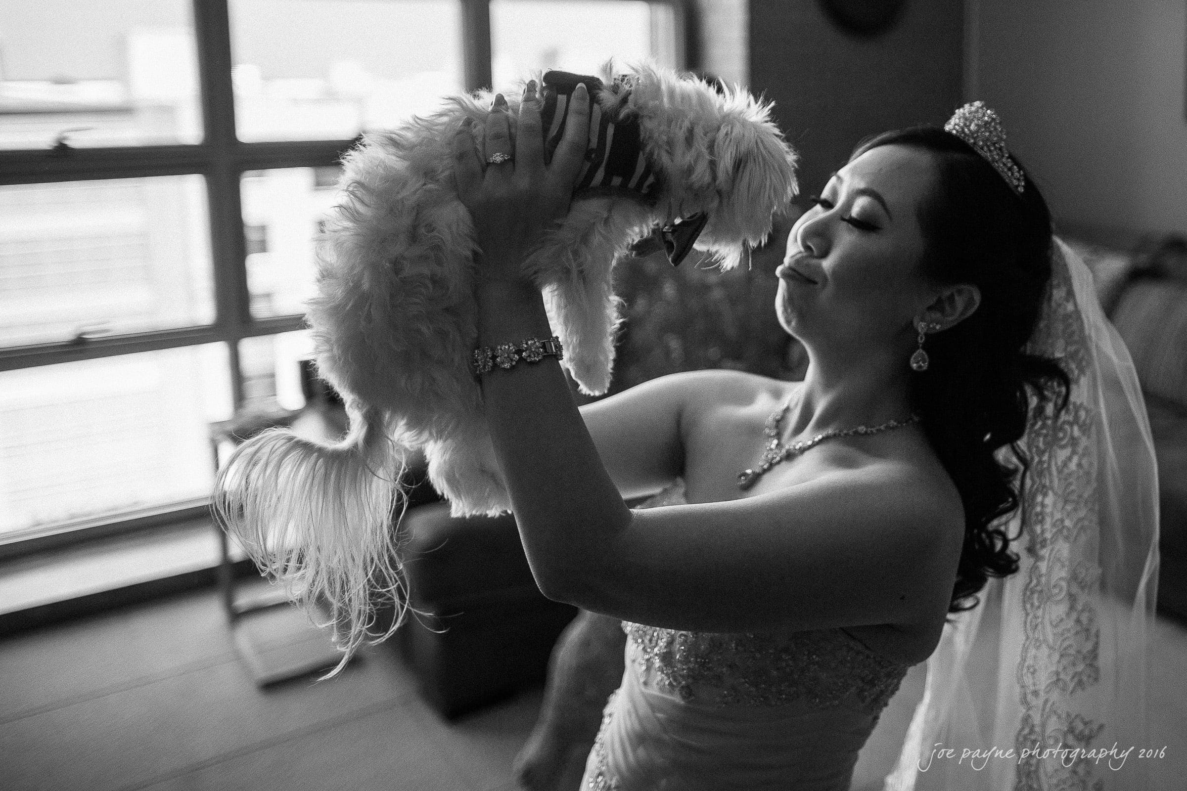 A bride in a wedding dress holds a small, fluffy dog up in the air. She smiles affectionately at the dog. The room is softly lit with large windows in the background.