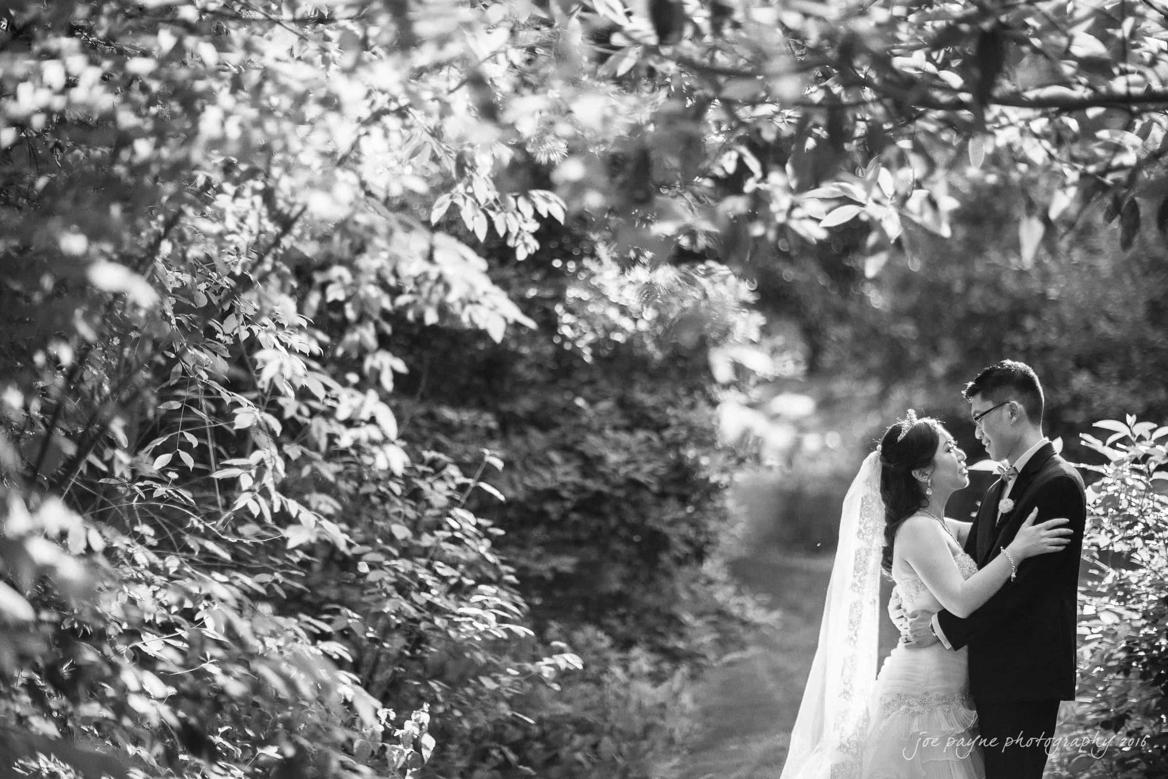 A couple embraces in a sunlit, leafy setting. The bride wears a long veil and a gown, while the groom is in a suit. Dappled light filters through the trees, creating a romantic atmosphere.