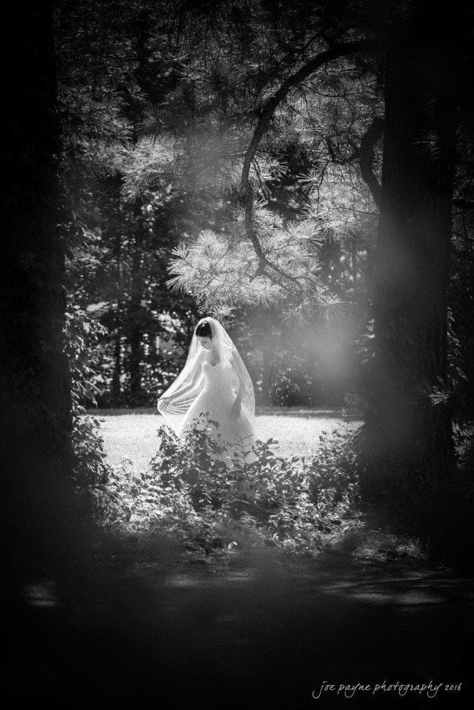 the oaks at salem wedding photography - kathryn & justin A bride in a flowing white wedding dress and veil stands in a sunlit clearing, surrounded by trees. The image is in black and white, creating a soft, dreamy atmosphere.