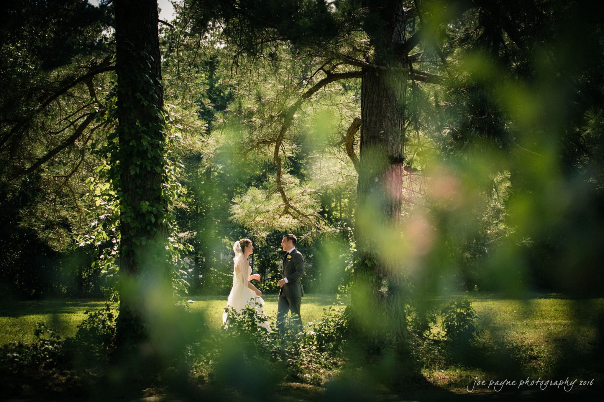 the oaks at salem wedding photography - kathryn & justin Bride and groom stand together in a sunlit forest clearing, surrounded by tall trees and greenery. The scene is framed by blurred foliage, creating a dreamy and romantic atmosphere.