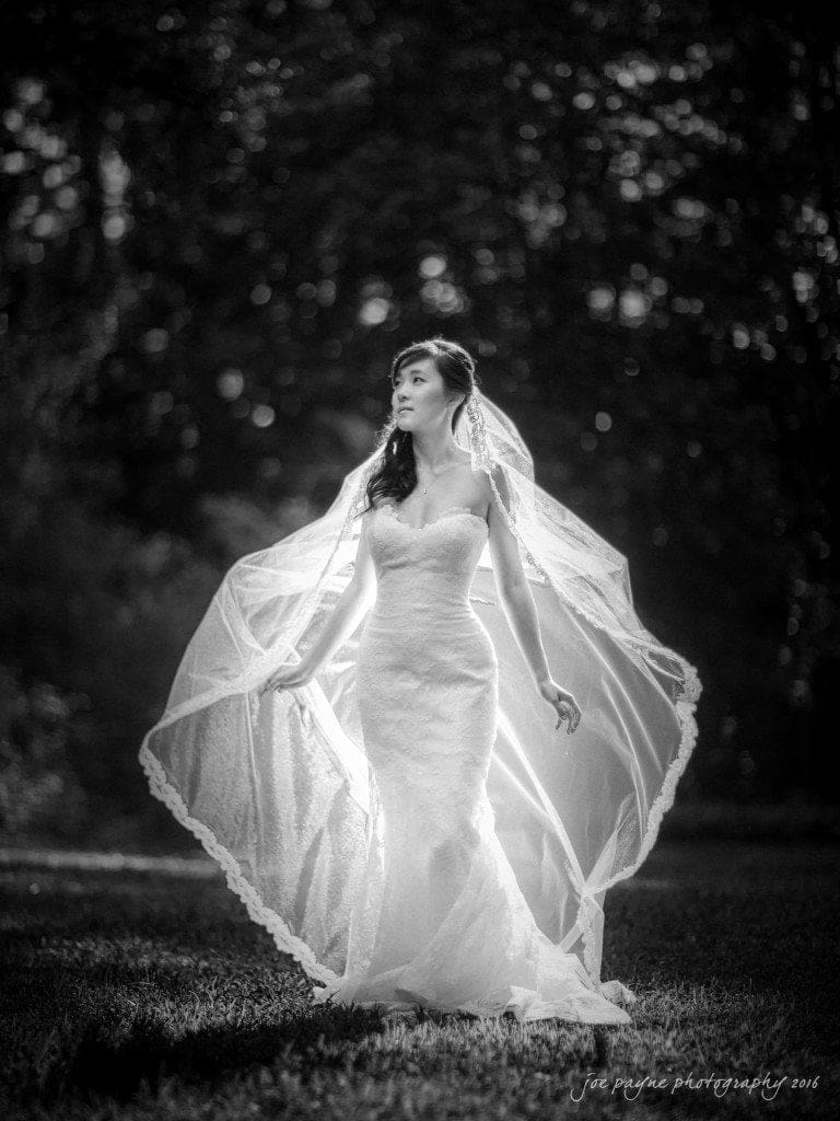 A bride in a lace gown and veil stands in a sunlit outdoor setting. The light creates a halo effect around her, illuminating the veil and highlighting the delicate details of her dress. Trees provide a dark, natural backdrop.