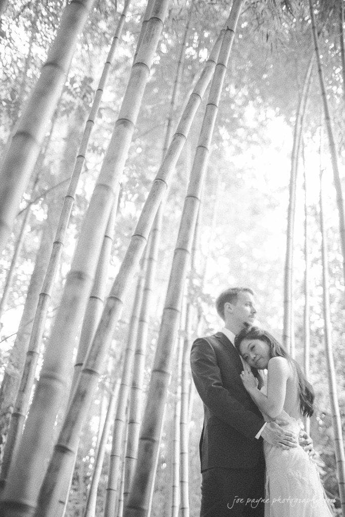 A black and white image of a couple embracing in a bamboo forest. The woman rests her head on the mans chest, both appearing serene and content. Tall bamboo stalks surround them, creating a peaceful, natural atmosphere.