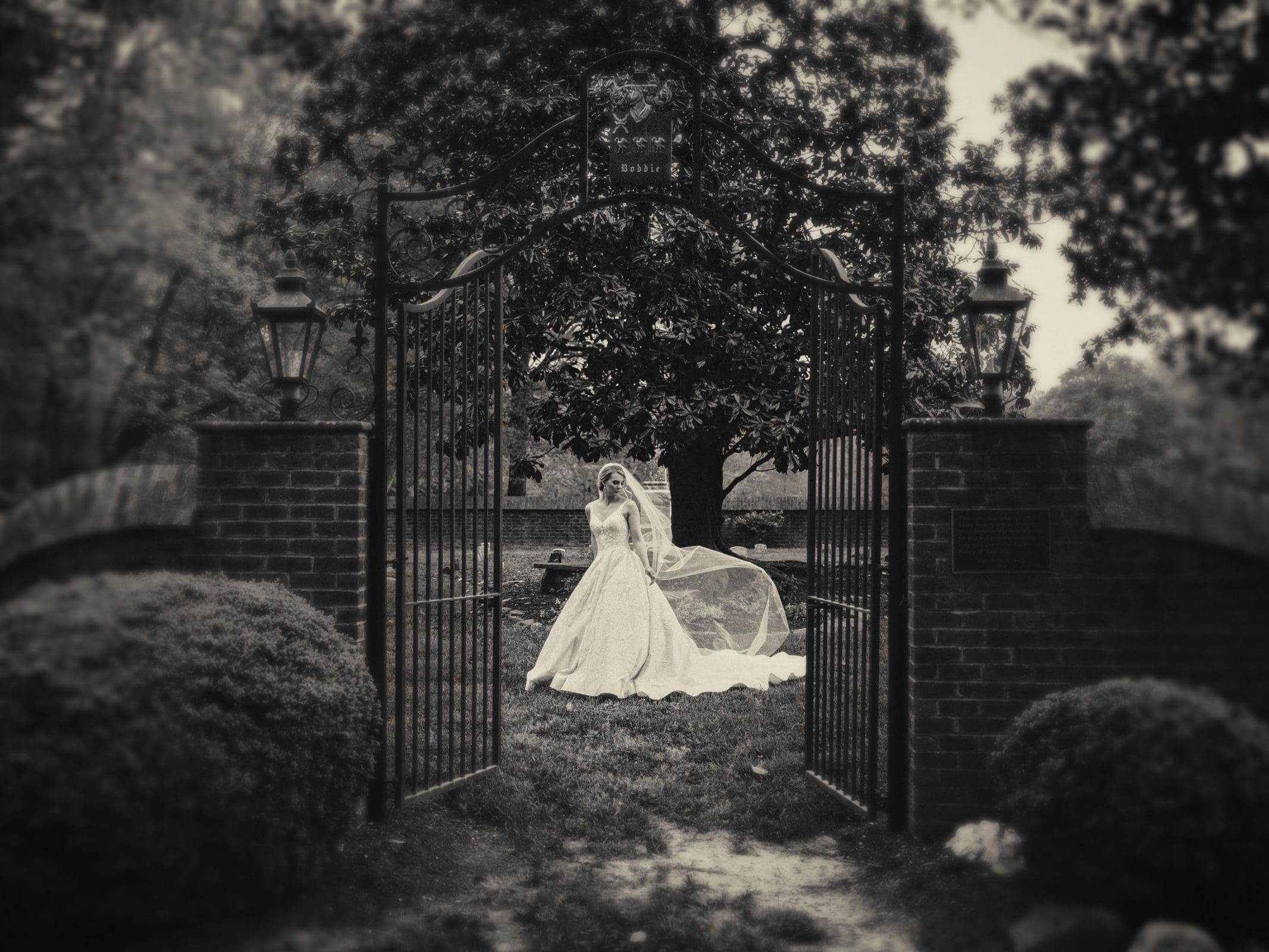 A bride stands in front of an ornate metal gate, wearing a flowing wedding dress and veil. A large tree is in the background, and the setting appears serene with overcast lighting. The image is in black and white.