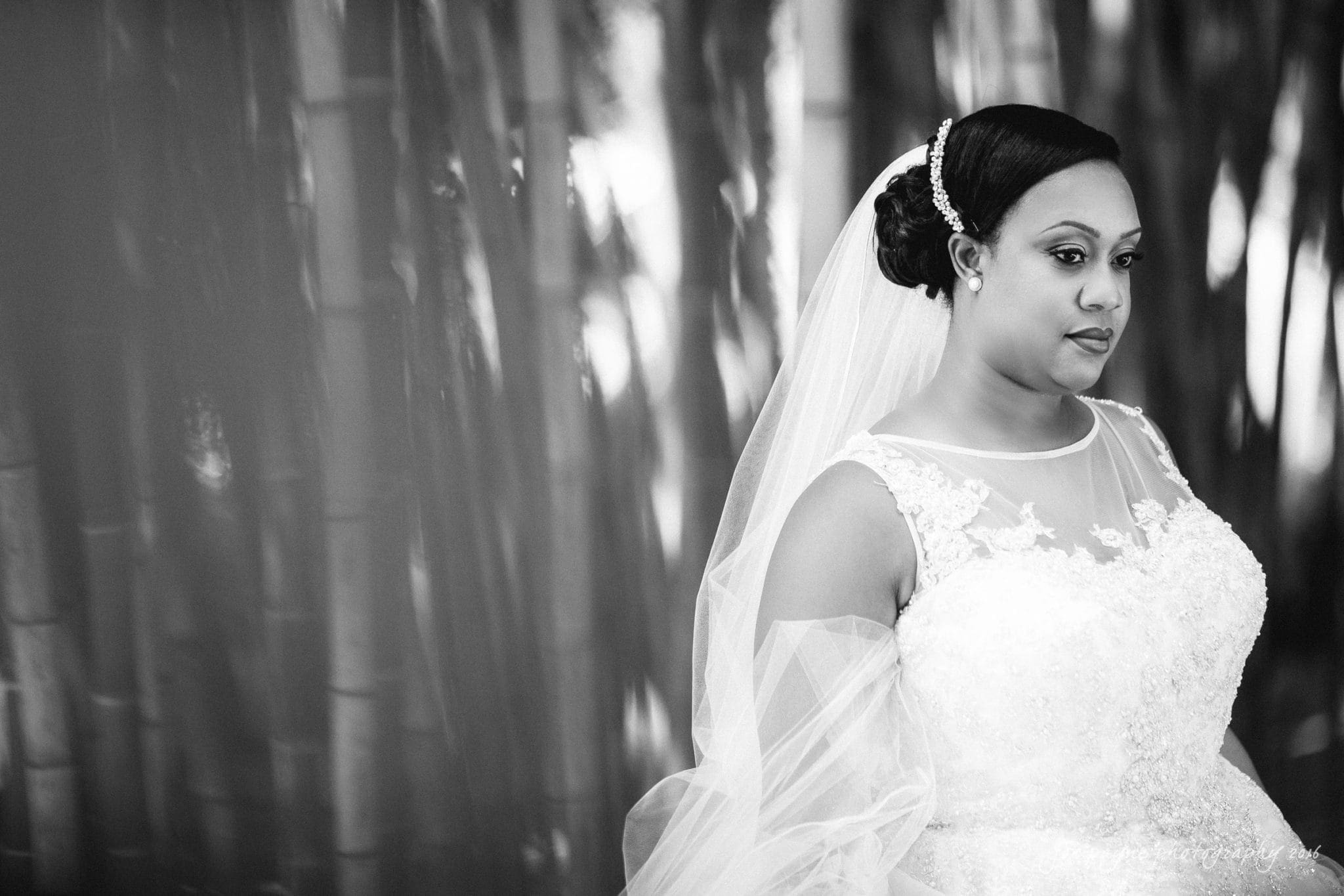 winston-salem nc wedding photography - toni & kevin Bride in a lace wedding dress and veil stands thoughtfully in front of a bamboo backdrop.