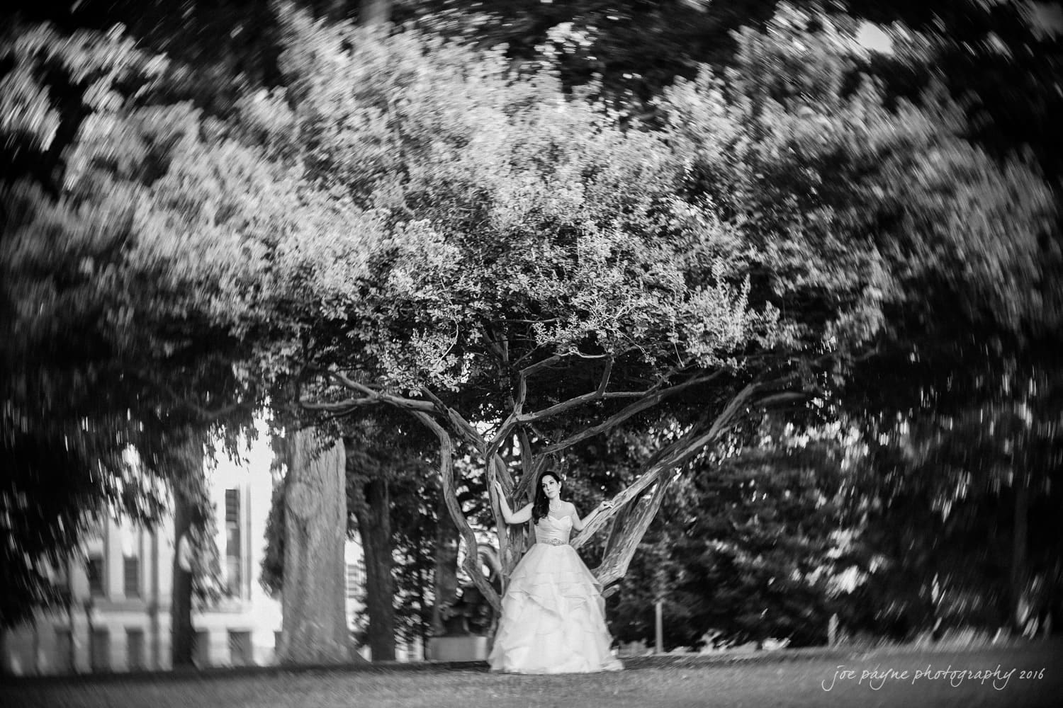 carolina inn wedding photography - kristen & matthew (x2) A woman in a flowing dress stands under a large, sprawling tree. The image is black and white, with a blurred, swirling effect surrounding the tree. Buildings are faintly visible in the background.